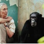 5 Ordinary People Who Did Extraordinary Things