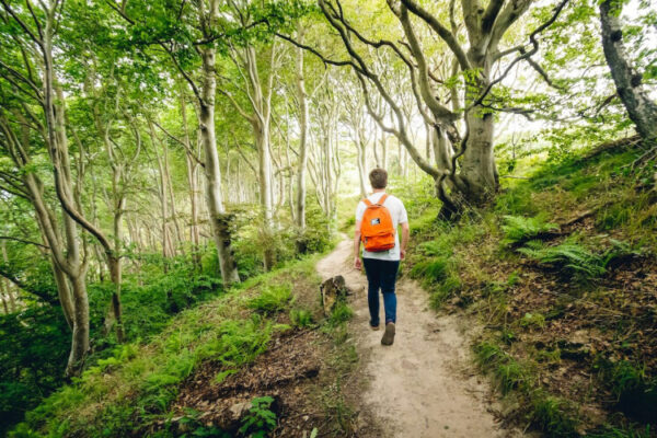 How to Find Peace in a Noisy World