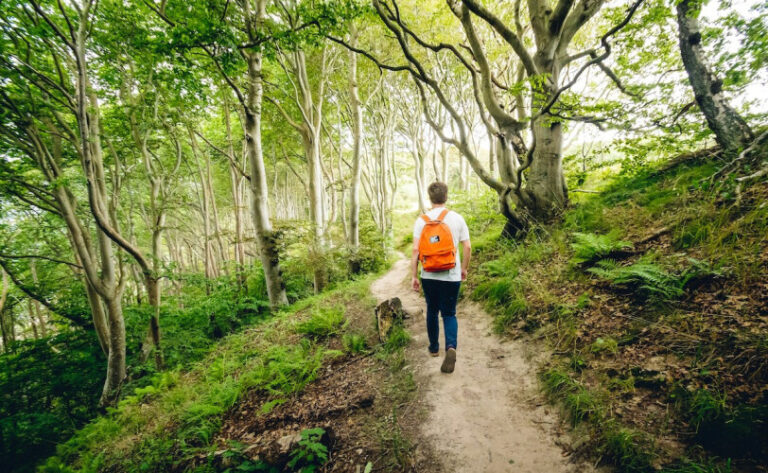 How to Find Peace in a Noisy World