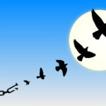 Life Insights for Personal Growth